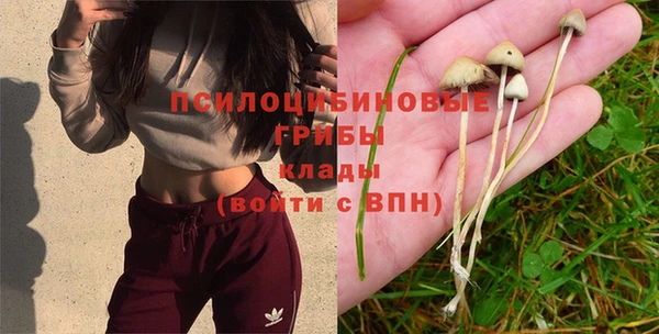 кокс Кукмор